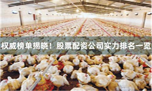 权威榜单揭晓！股票配资公司实力排名一览